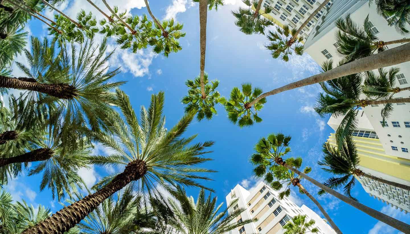Florida.jpg